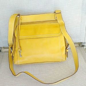 Fossil Crossbody/Organizer